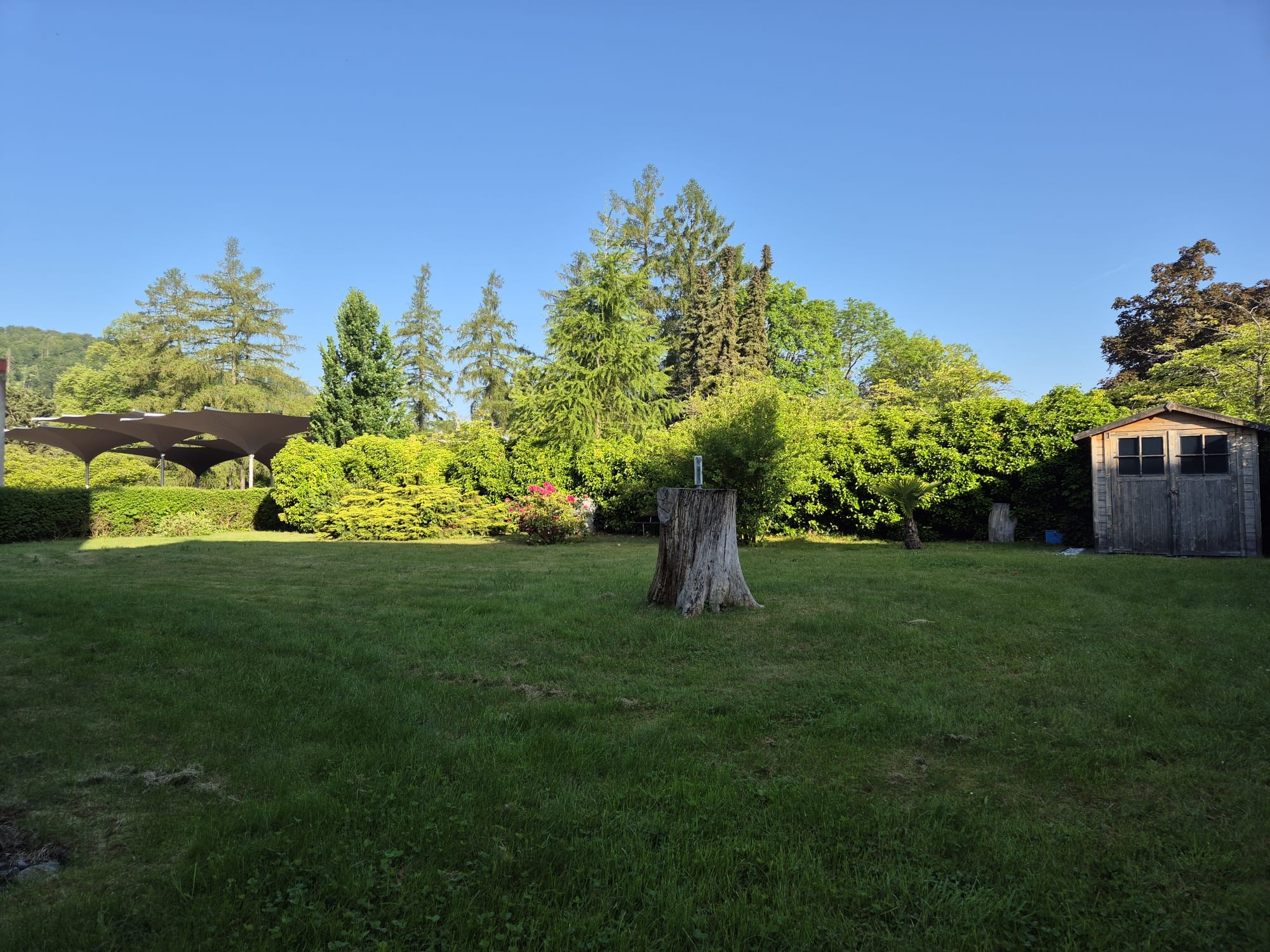 Garten