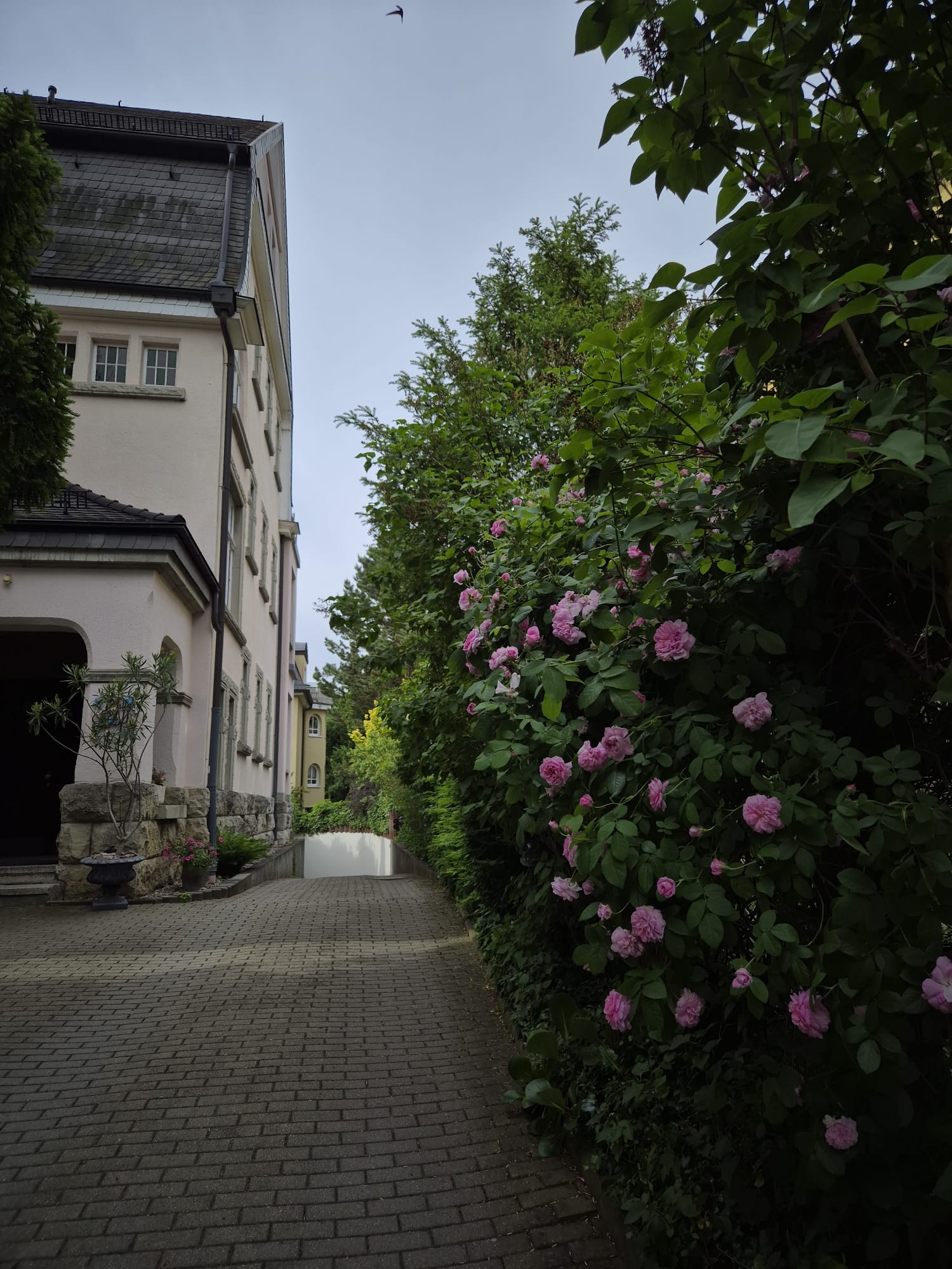 Zufahrt