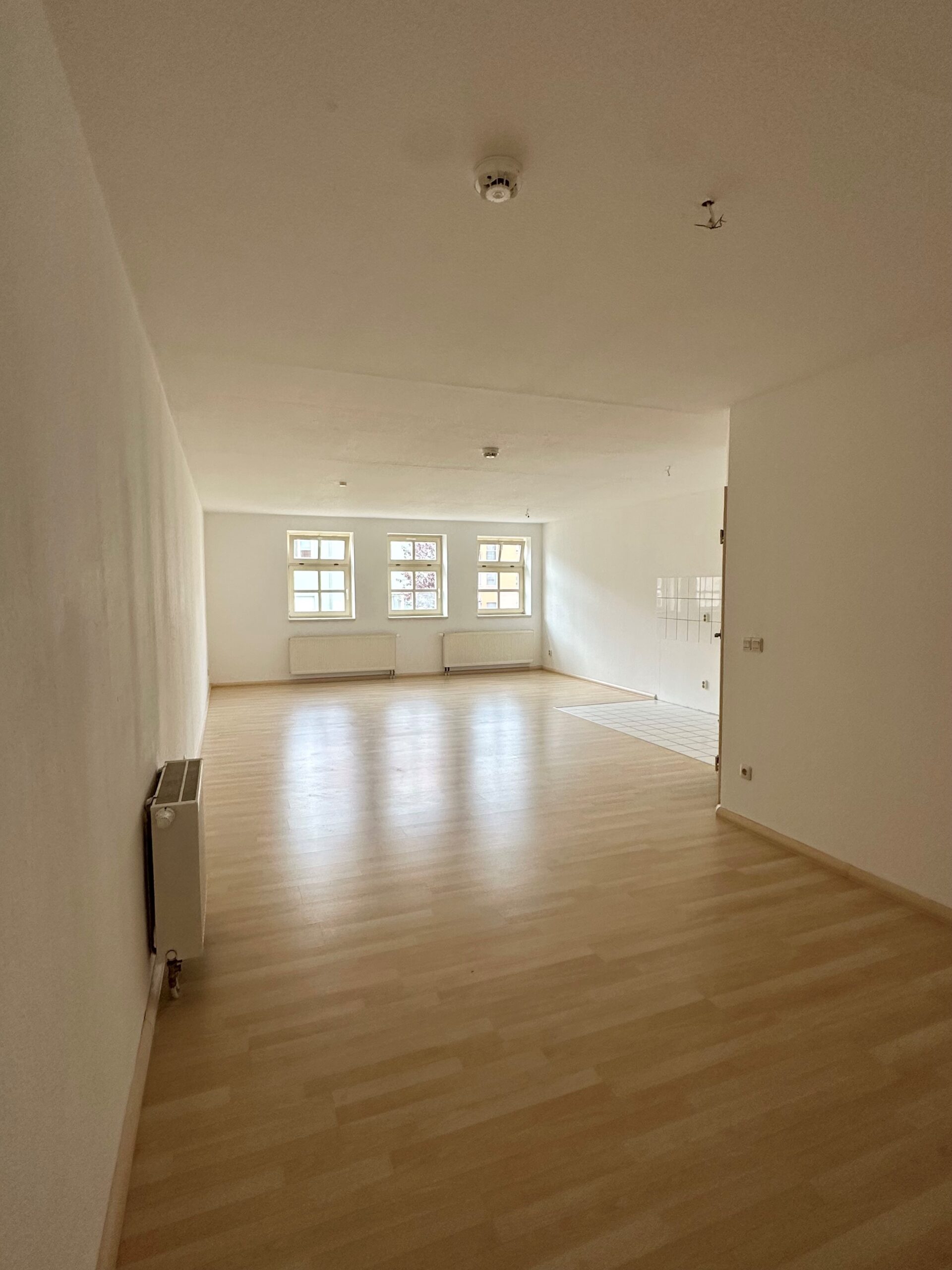 Wohn-/Schlafzimmer mit offener Küche