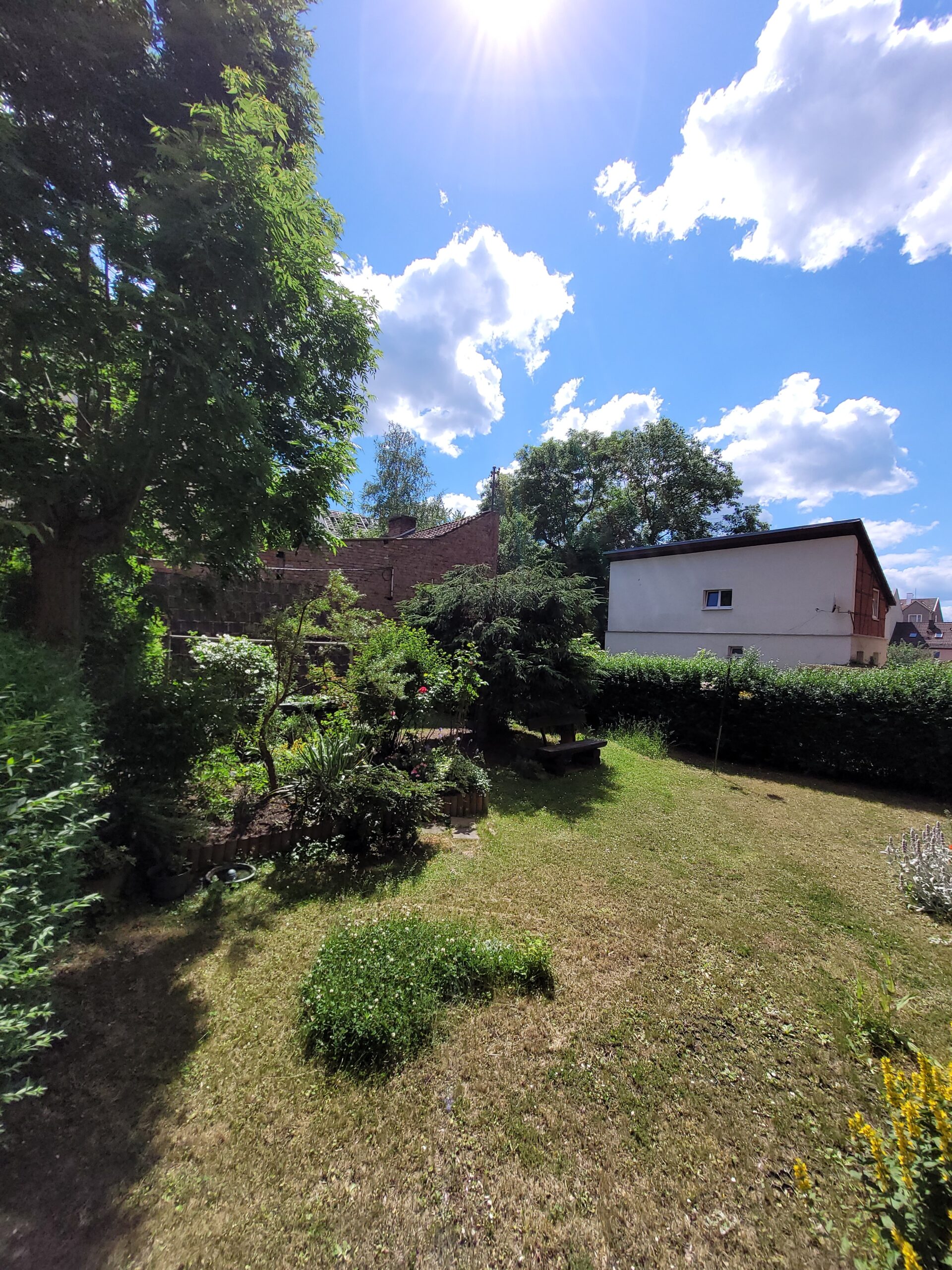 Garten hinter dem Haus