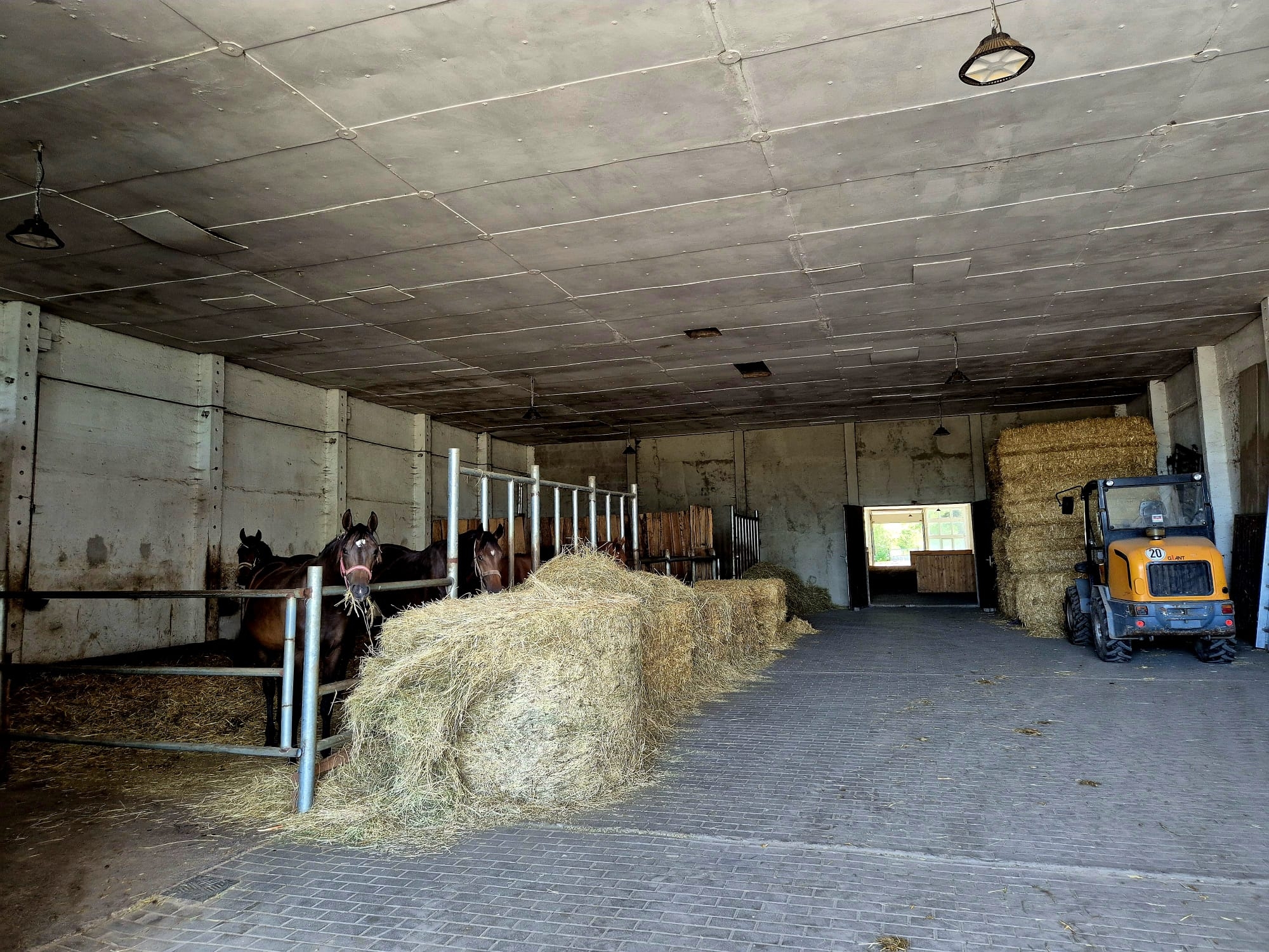Stall